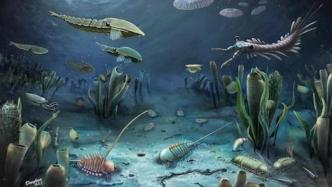 我国发现5.04亿年前临沂动物群，打开寒武纪生命探索新窗口