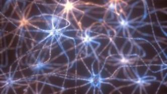 欧洲联合启动神经网络研究项目，用于量子纠错和量子控制