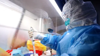 中国牵头的首个新冠病毒核酸检测国际标准发布