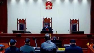 打到猫头鹰后放生仍获刑，法院：危害保护动物犯罪事实已成立