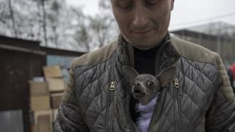 俄乌战争阴影下的宠物“难民营”