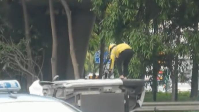 视频 澎湃新闻 thepaper.cn