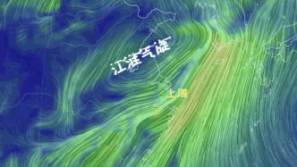 “高仿台风”又来！上海明天有大到暴雨，将持续到后日早晨
