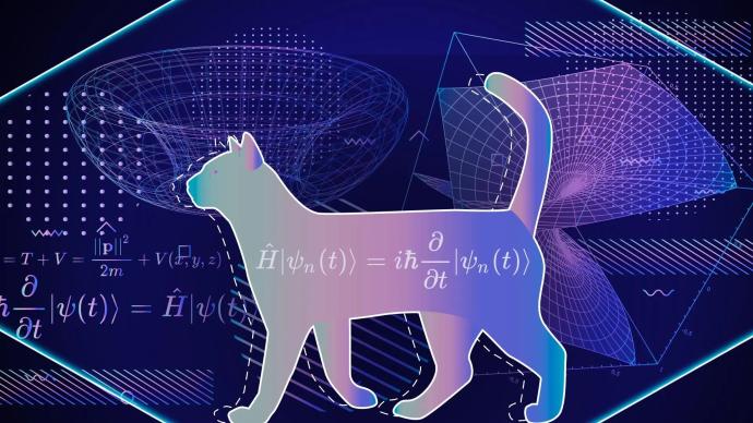 清華首次實現四體“薛定諤貓”態，有助量子計算與量子網絡