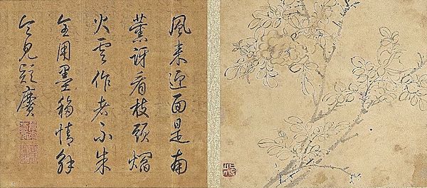 《蔷薇》 本幅选自台北故宫博物院藏陈淳《画花卉》册