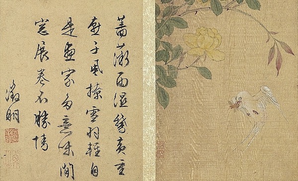 《蔷薇燕子》 本幅选自台北故宫博物院藏陆治《写生》册