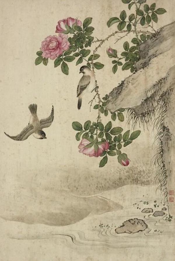 蔷薇 本幅选自台北故宫博物院藏蒋廷锡《写生》册