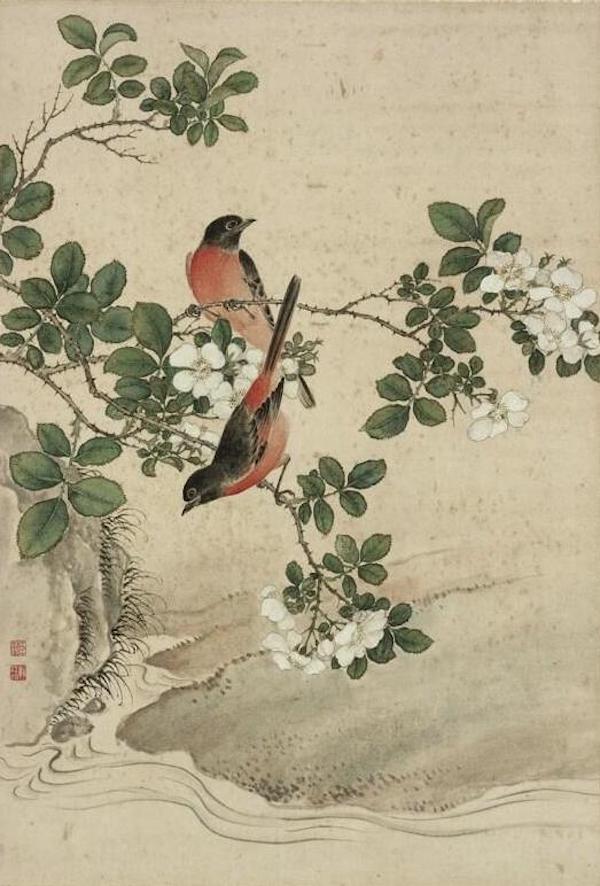 野蔷薇 本幅选自台北故宫博物院藏蒋廷锡《写生》册