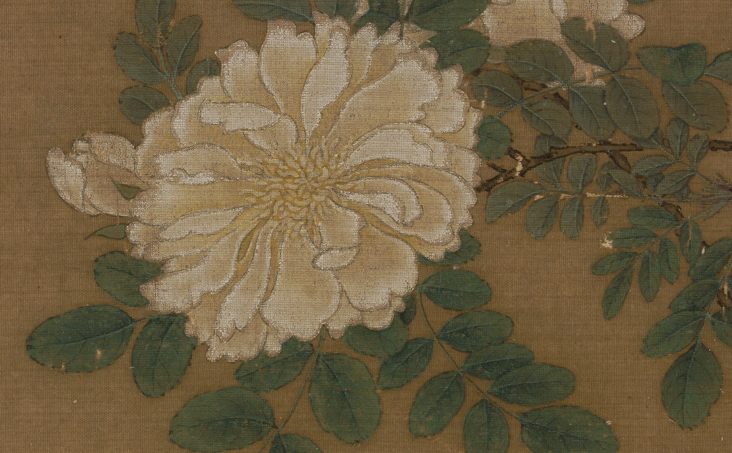 宋 马远 《白蔷薇图》页（局部） 故宫博物院藏