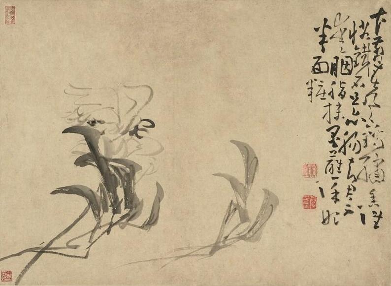 《芍药》 本幅选自台北故宫博物院藏黄慎“花卉”册