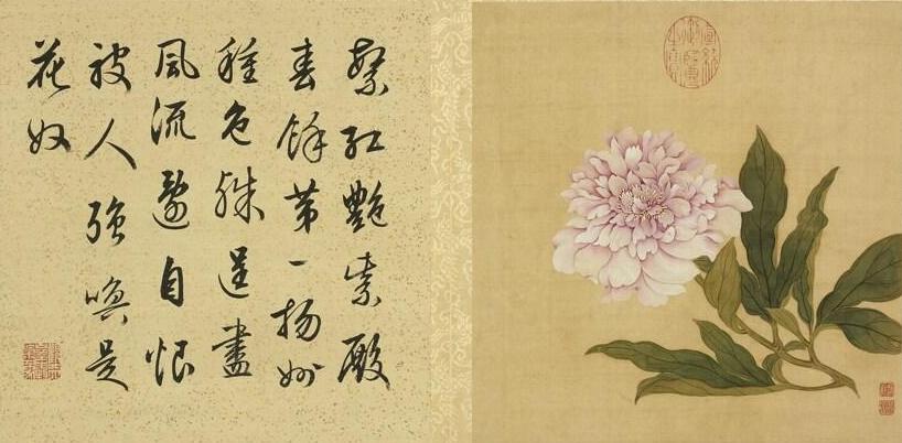 《芍药》 本幅选自台北故宫博物院藏邹一桂“花卉画”册