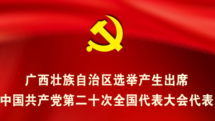 48名！廣西壯族自治區黨代表會議選舉產生出席黨的二十大代表