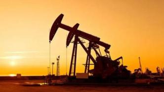 外媒：印度要求国有油企评估购买俄罗斯石油公司股份可能性