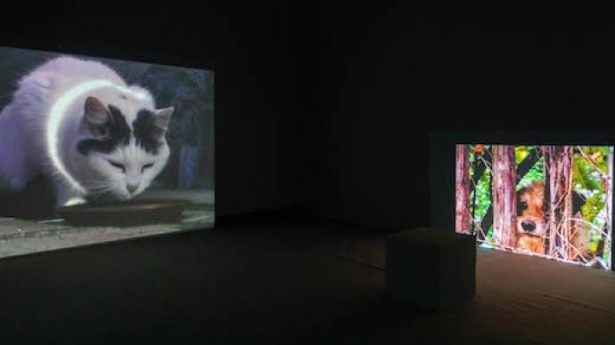 影像里的“親密關系”，巴黎現代藝術博物館藏品在京展出