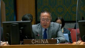 中国代表呼吁国际社会帮助大湖地区国家应对挑战