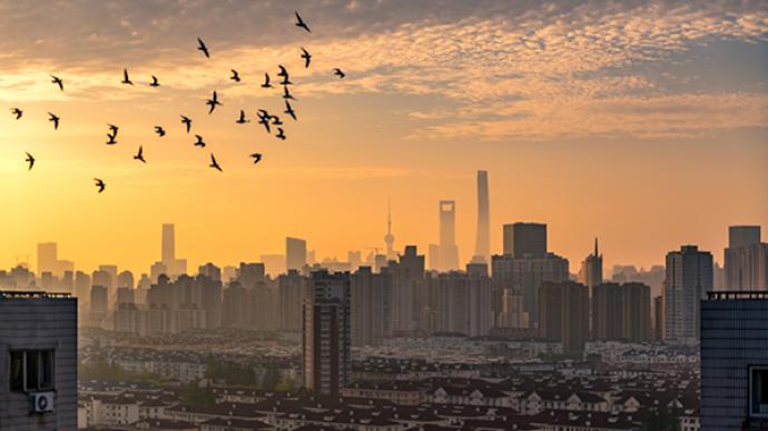 每日戰疫海報丨上海六個區社會面基本清零