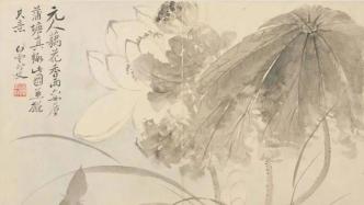 从陈淳到恽寿平，历代花鸟画展呈现自然意趣