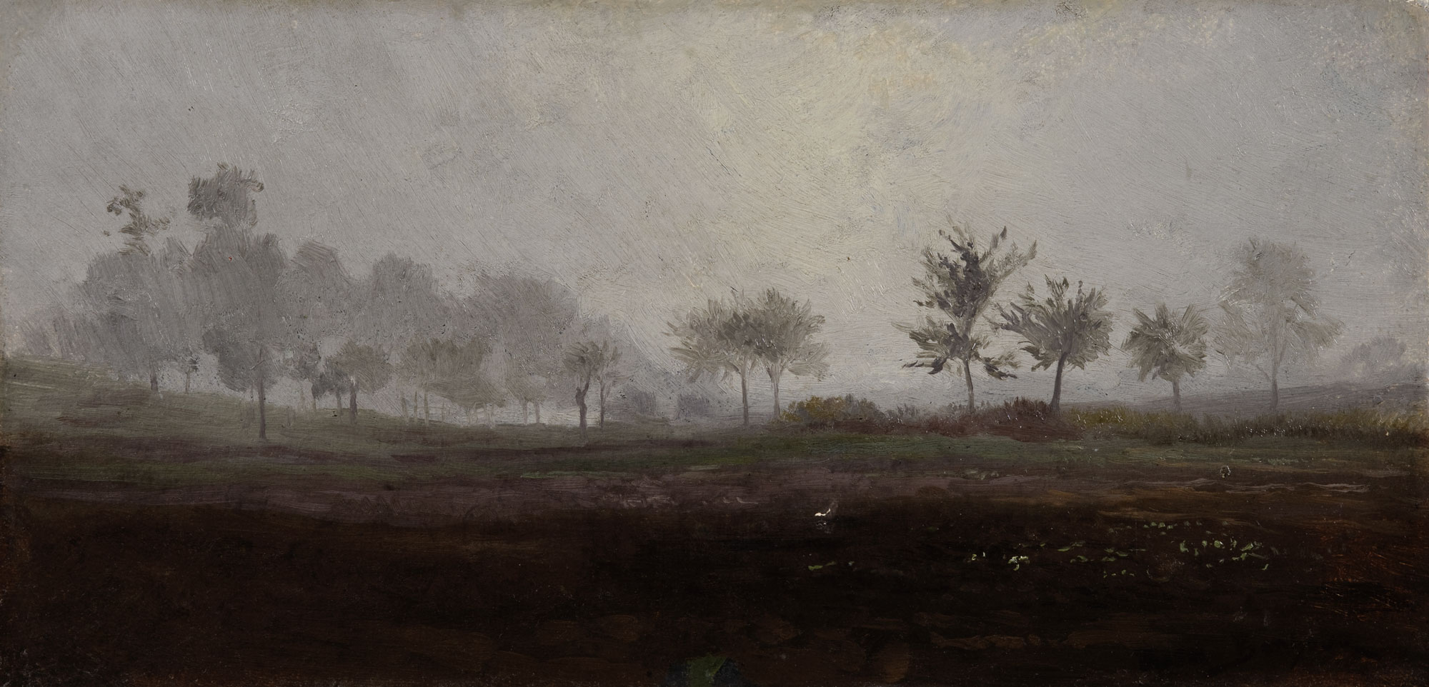 罗莎·邦赫，《迷雾景观》