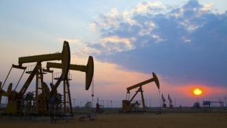 “欧佩克+”成员国决定将6月石油开采量维持在日均43.2万桶