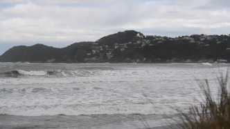 研究表明新西兰海平面正加速上升
