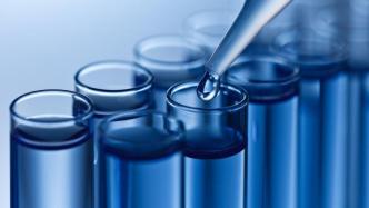 上海目前未发现传播力更强的新冠病毒变异株