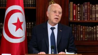 突尼斯总统称将坚决打击不法分子的纵火破坏行为