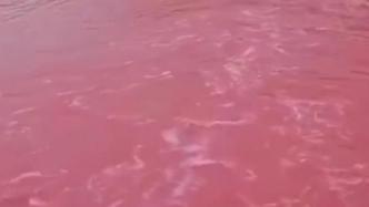 广西田林一河段水体呈红色，官方：已展开调查，禁止使用河水