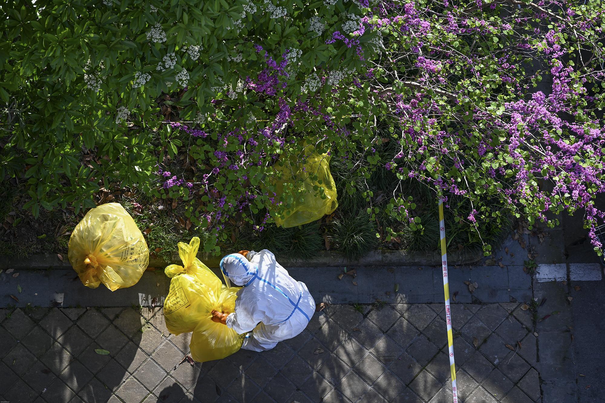 2022年4月9日，上海晶华坊，“大白”在运送生活垃圾。本文图片均为澎湃新闻记者 朱伟辉图