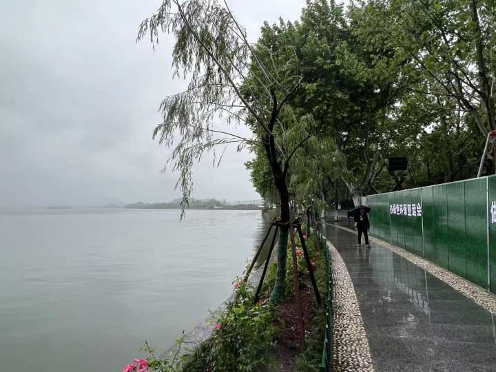 西湖景区管委会：对“断桥移柳”表示歉意，将强化公示制度
