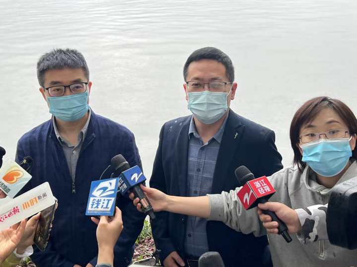 西湖景区管委会：对“断桥移柳”表示歉意，将强化公示制度