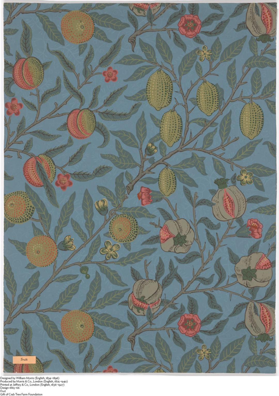 《水果》，威廉·莫里斯，1865–66年，芝加哥艺术博物馆，编号：Obj: 249073
