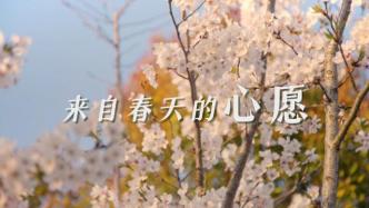 上海战疫丨来自春天的心愿