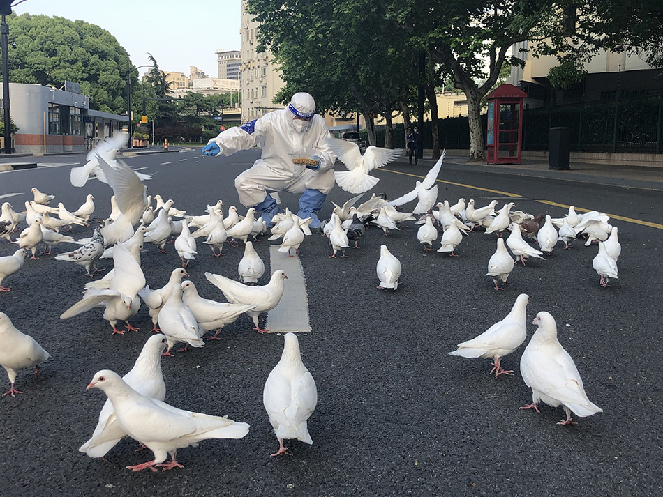 2022年5月9日，上海人民广场，南京东路派出所民警刘建伟巡查到这里时喂了下鸽子。澎湃新闻 李佳蔚 图