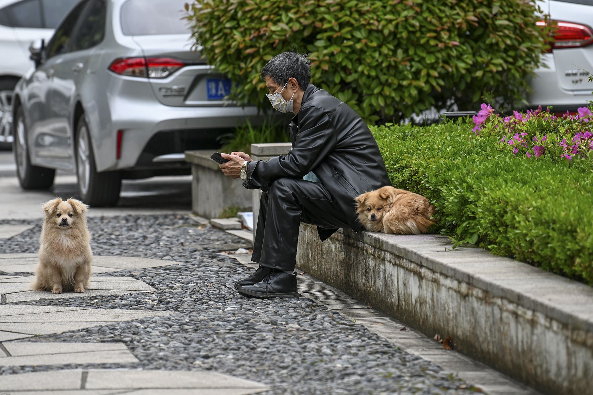 2022年4月23日，上海晶华坊，一位男子坐着看手机，旁边陪着两只小狗。
