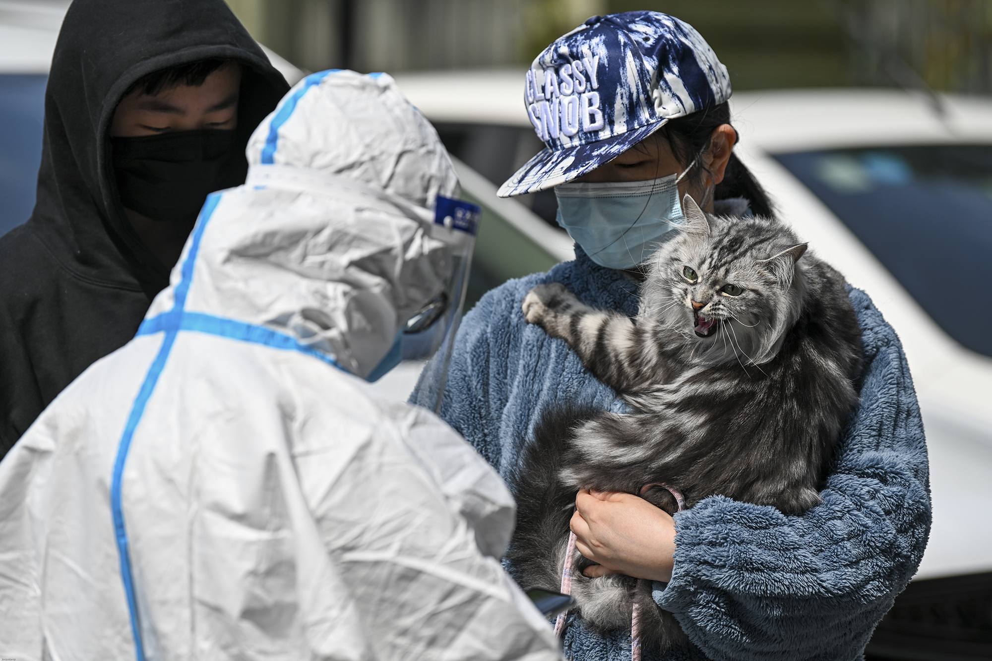 2022年5月1日，上海晶华坊，一位女士抱着小猫前来做核酸。