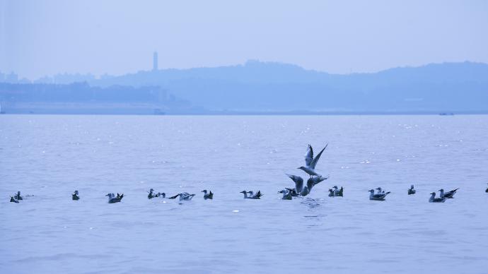 湖南省就洞庭湖具体范围划定公开征求意见，长沙望城区拟列入
