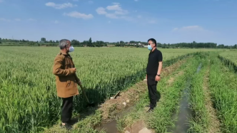 河北磁县回应“承包土地浇地难”：问题解决，已完成灌溉
