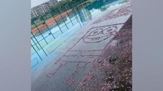 浪漫有了颜色！重庆大学生用雨后的蓝花楹花瓣作画