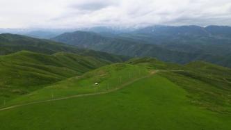 瞰见｜新疆裕民县：山花烂漫，绿草如茵