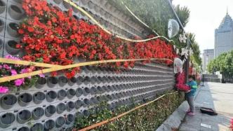 上海：徐家汇、外滩、人民广场等多个区域已完成花卉布置