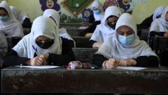 美媒：阿富汗临时政府官员称女子中学将复课，正研讨教学机制