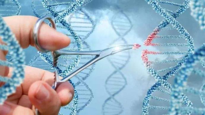 “基因剪刀”结合化学方法调控RNA，为多种疾病提供新疗法