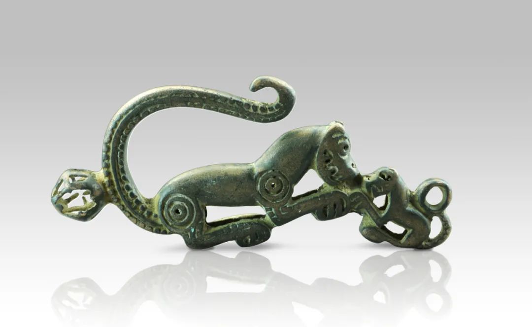 子母虎形青铜挂钩 战国 长12厘米，宽5厘米 鄂尔多斯市博物院藏
