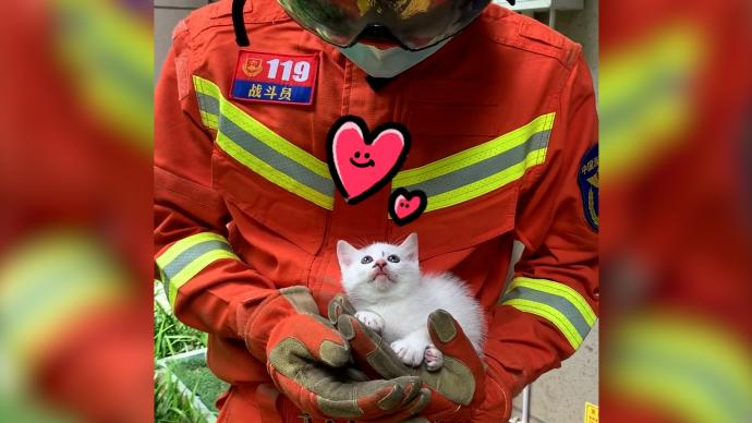 两只小奶猫被困空调外机处，消防员温柔救出