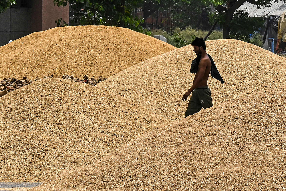 当地时间2022年5月18日，印度新德里，谷物市场内成堆的小麦。