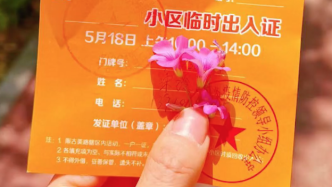 上海市民晒花式出入证，今日份的快乐你用了吗
