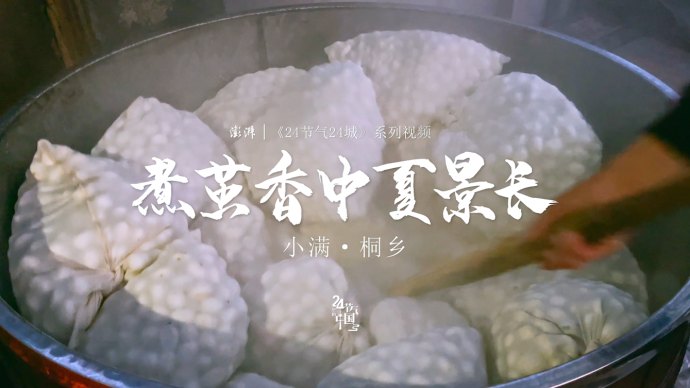 小满·桐乡丨煮茧香中夏景长