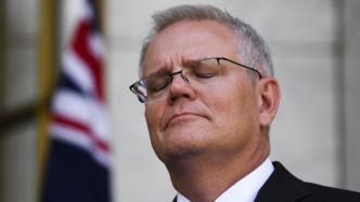 澳大利亚工党领先联邦大选，莫里森：将辞去自由党领导人职务