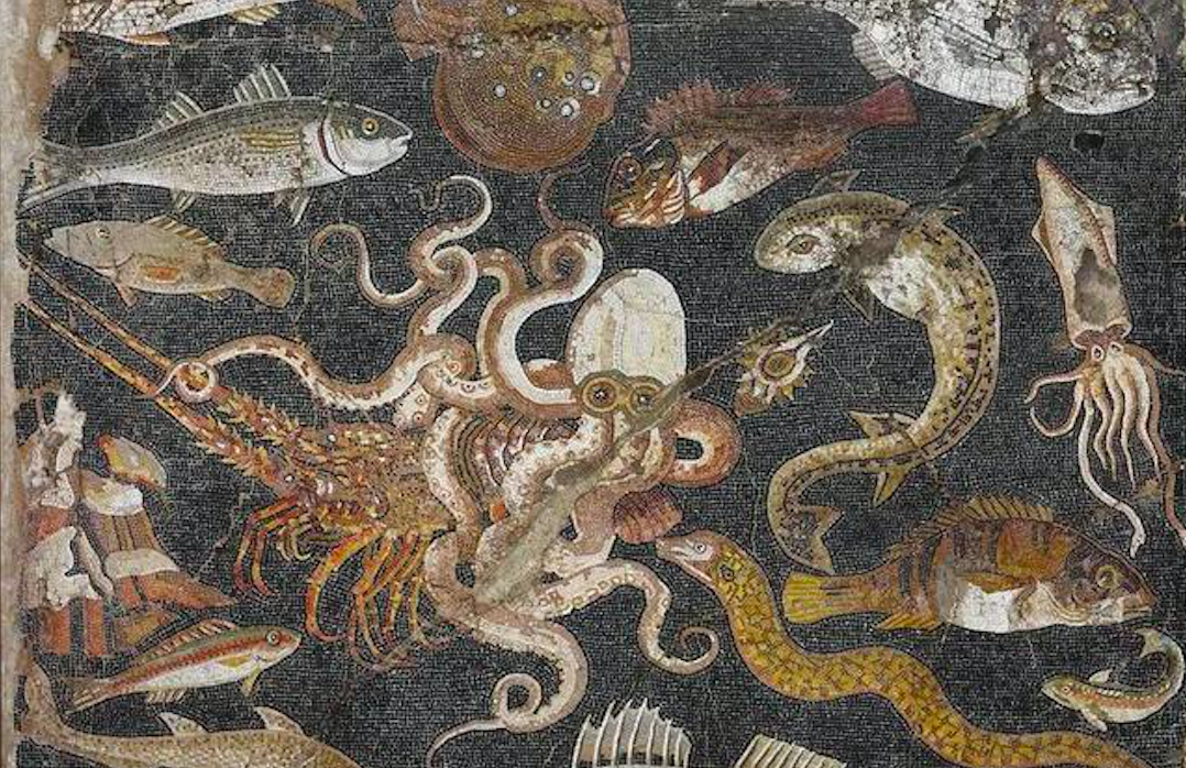 庞贝古城中一幅鱼类装饰画局部（公元1世纪）