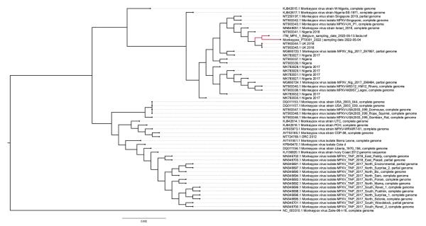 图二：比利时团队公布的猴痘病毒基因进化树